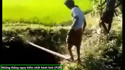 Những tình huống hài hước nhất - phần 28