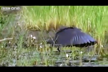 very Very funny punjabi dubbing video