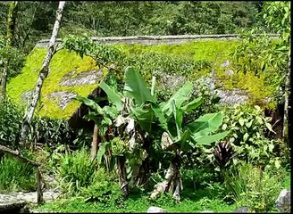 "He Govinda, he Gopal" - Balaram Fusion