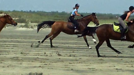 PLAGE NAPOLEON 14 MAI 2015 CHV