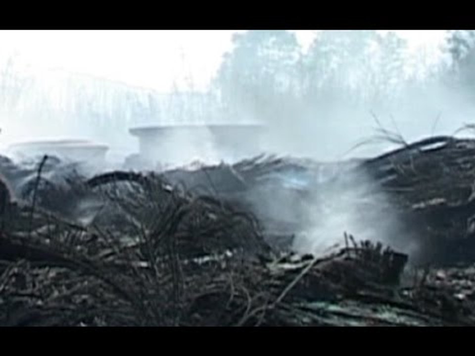 Napoli - Diossina, convegno al Policlinico "Federico II" (12.05.15)