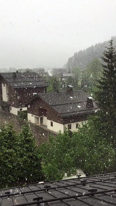 Neige
