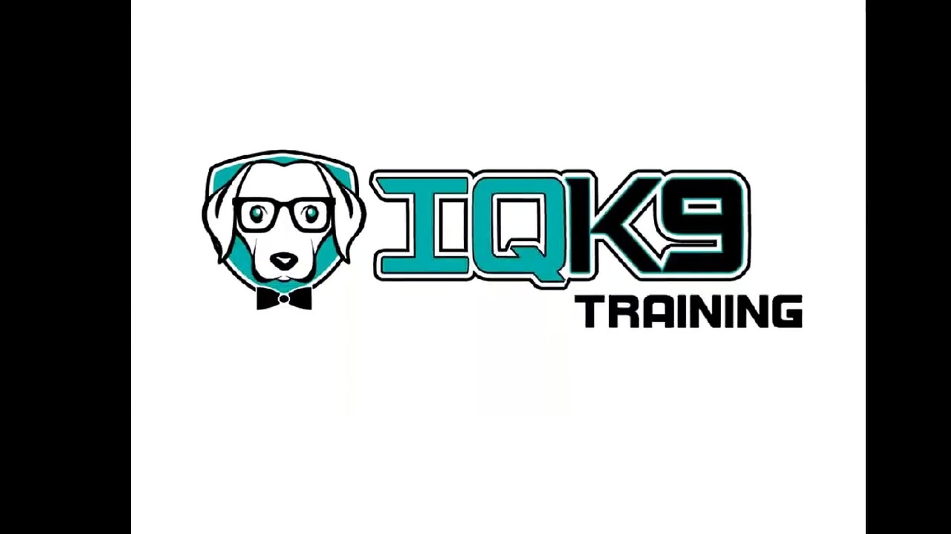 ⁣IQ K9 TRAINING | Dog Tricks