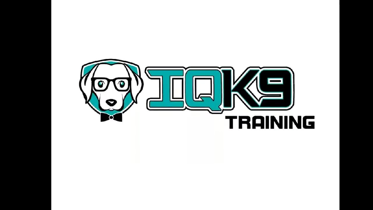 IQ K9 TRAINING | Dog Tricks "Handstand" | Solana Beach Dog Training