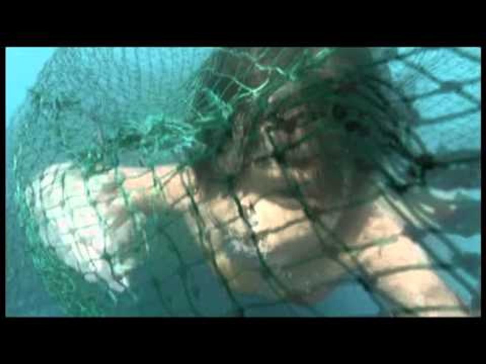 DYESEBEL Episode Liro saves Dyesebel video Dailymotion