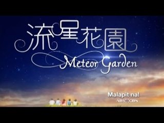 METEOR GARDEN : The Ultimate Throwback