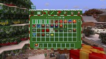 Minecraft: PlayStation®4 Edition　マインクラフトクリスマスワールド　パート2