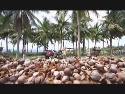 Enrique Gil on MULING BUKSAN ANG PUSO Full Trailer