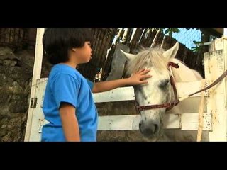 LITTLE CHAMP 04.16.13