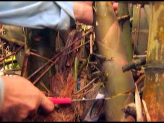 MasterChef Pinoy Edition Profile #3