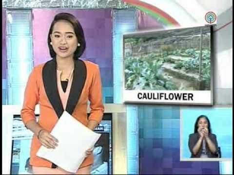 TV Patrol Palawan - February 11, 2015