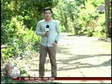 TV Patrol Palawan - February 5, 2015