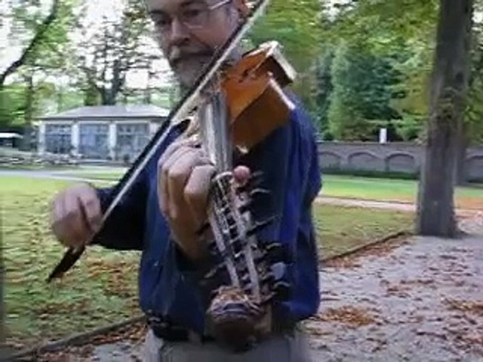 Viola D'amore