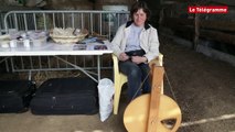 Pont-de-Buis. Un élevage d'alpagas pour une laine chaude