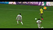 Goal Vivian - Sochaux 1-1 Valenciennes - 15-05-2015
