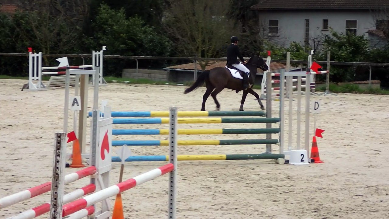VIP St Aff J1 2015
