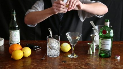 How to Make a Gin Martini