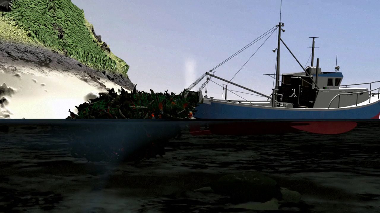 Les méduses