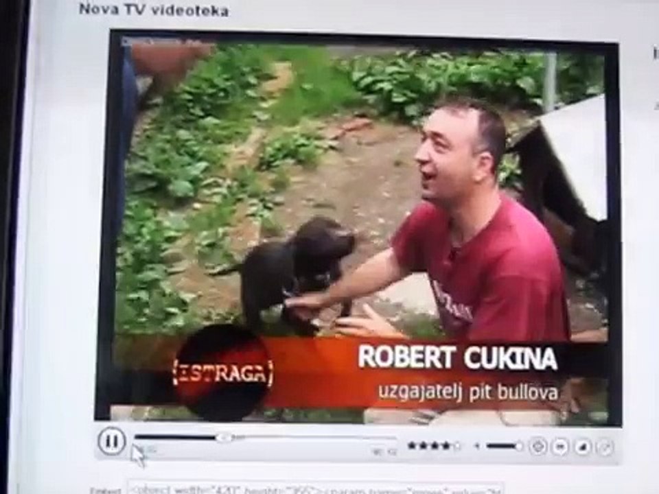 Istraga    26 6 2008      Pit bull ovi