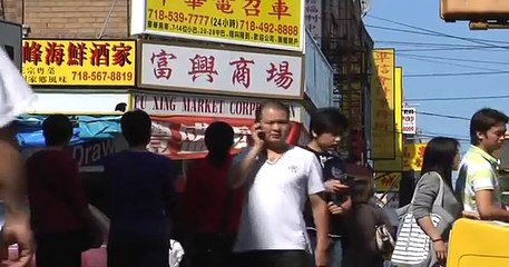 A Place to Call Home: What Immigrants Say Now About Life in America