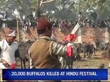 Miles de animales sacrificados en fiesta hindú en Nepal