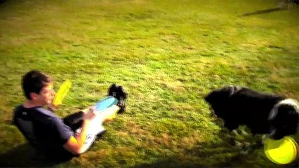 How to Teach your Dog to Jump Over You!