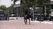 Jennifer Foulon and Mr. M - FEI Young Rider Team Test (FEI PSG) - 3/19/15