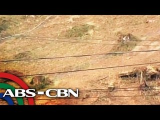 SM nagputol ng 60 puno sa Baguio