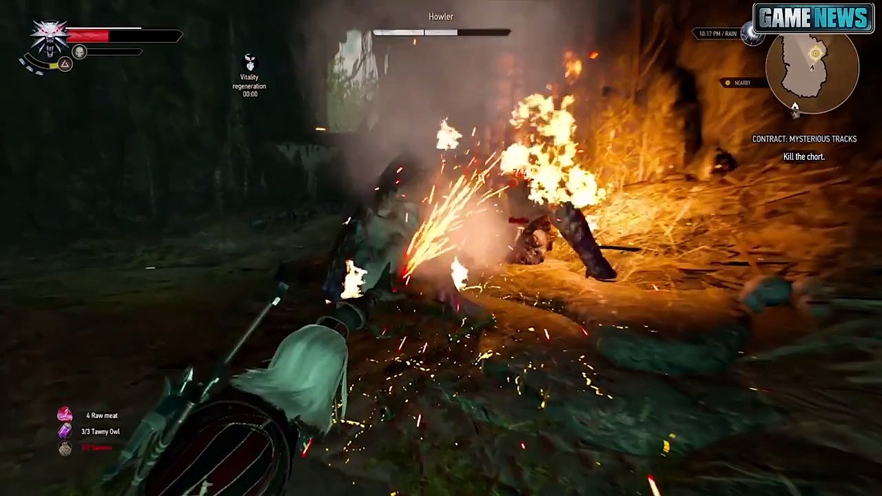 THE WITCHER 3 - Boss Gameplay (Chort)