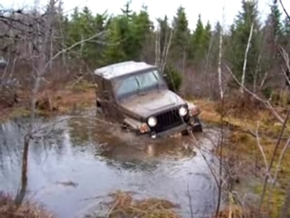 Jeep Wrangler TJ Plantée