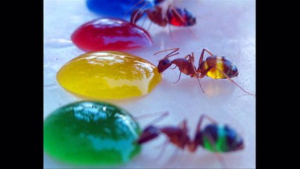 World's most amazing photos (Part 22) - Blow your Mind