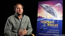 NewCa.com: 2015 OSC. Humpback Whales. Perfect For IMAX Screen