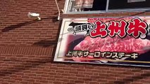富岡 肉の日　上州牛ステーキとハンバーグ店GGC高崎本店