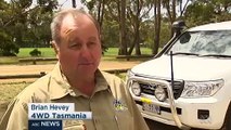 Video 2:14 Call to report 4WD vehicles snubbing Tasmanian track ban