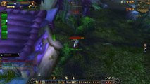World of Warcraft 19 paladin pvp montage