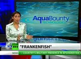 Frankenfish: Genetically engineered salmon