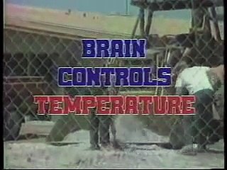 Heat Stress (Humorous Safety Training) from SafetyInstruction.com