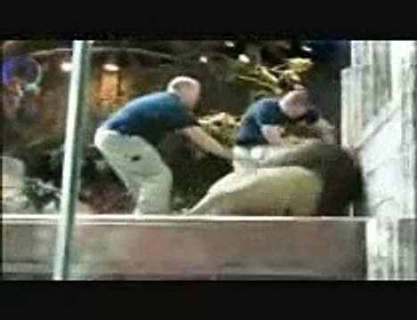 Top 10 Lion Attacks On Humans (Ferocious Man-Eaters)