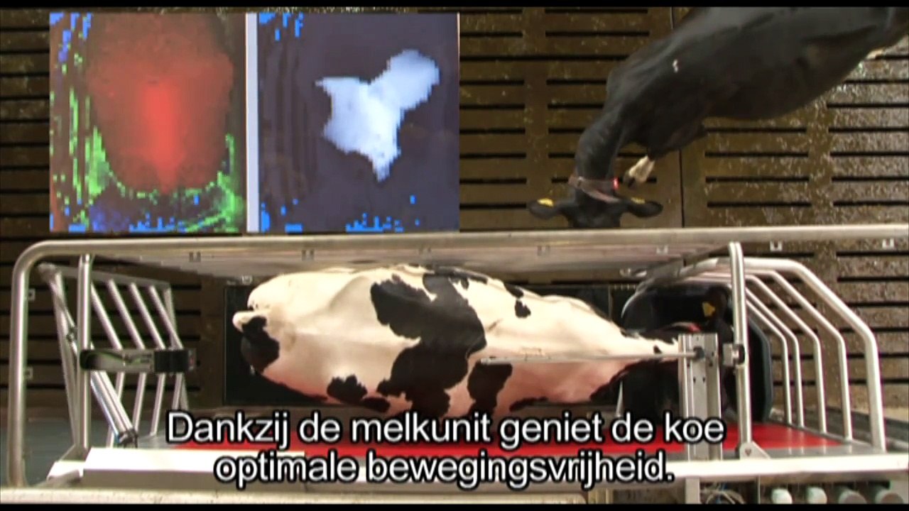 Nieuwe Lely A4 melkrobot