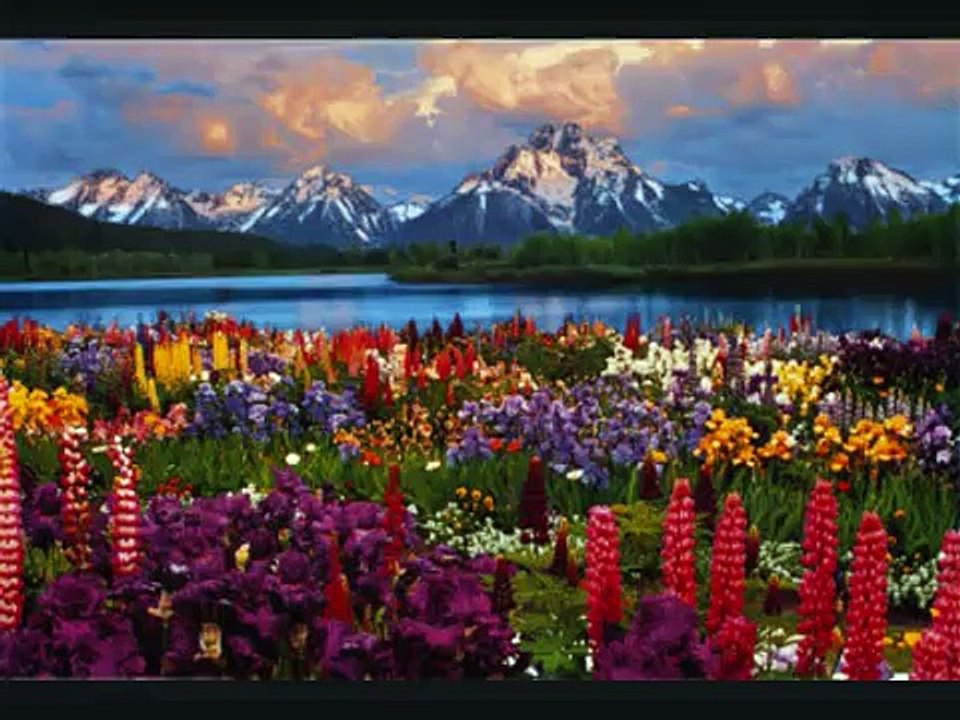 Electric Light Orchestra "Its Over"