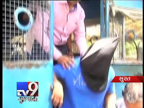 Amit Sindha Murder Case: Court grants three-day remand of prime accused Divyesh - Tv9