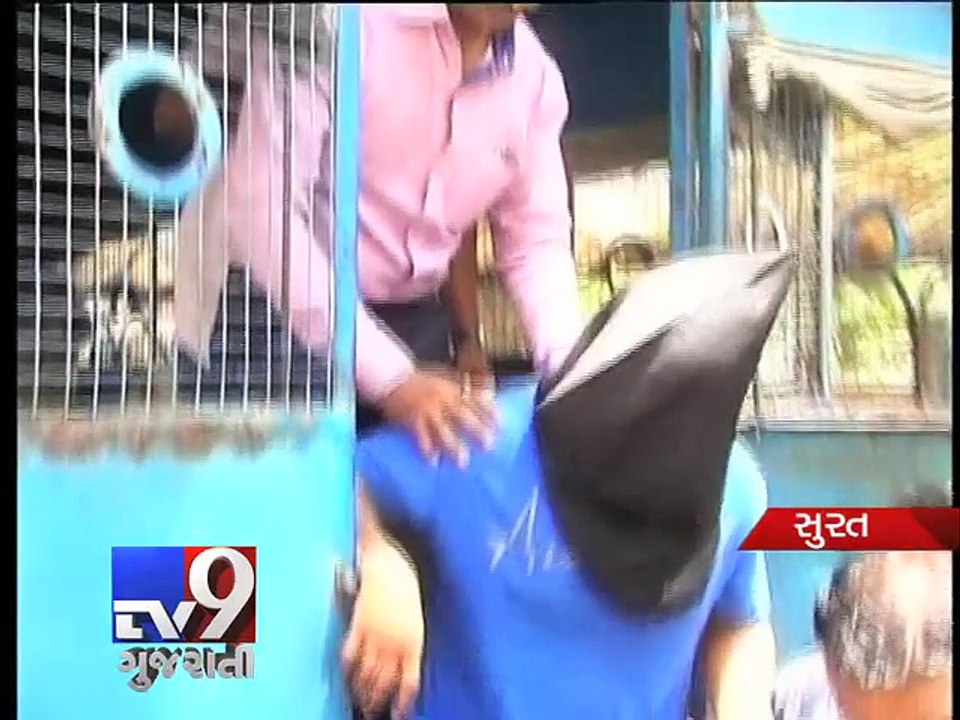 Amit Sindha Murder Case: Court grants three-day remand of prime accused Divyesh - Tv9