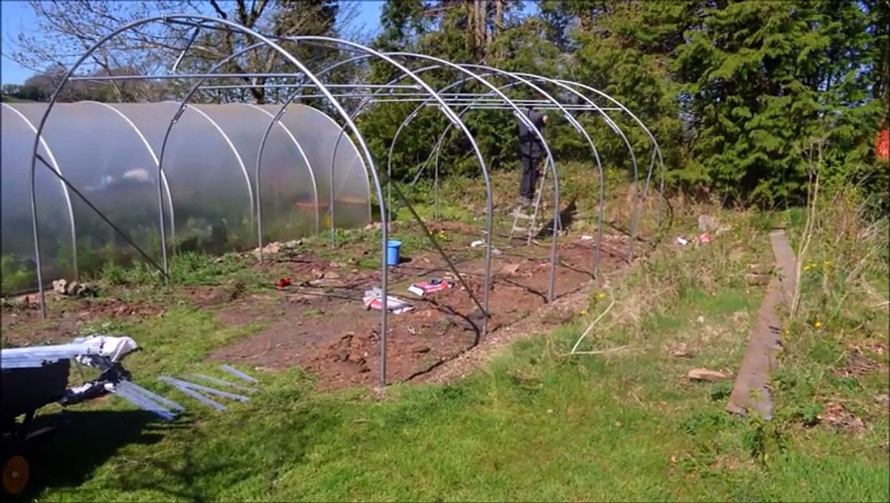 Polytunnel Construction