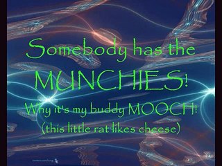 Feeding Mooch the pet raccoon