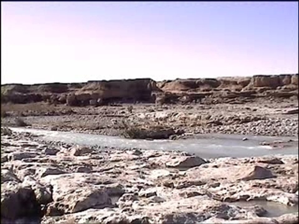 CUCU Z clip yafelman