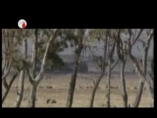 Medine - Erkan Mutlu