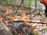 Mohonk Preserve does controlled burn to prevent fires