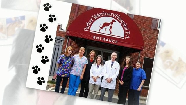 Charlotte Veterinary Services videos - Dailymotion