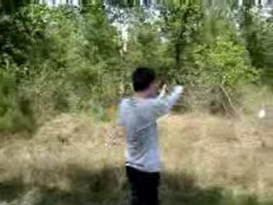 Guns