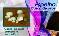 Andréia Gomes - Casca de ovos